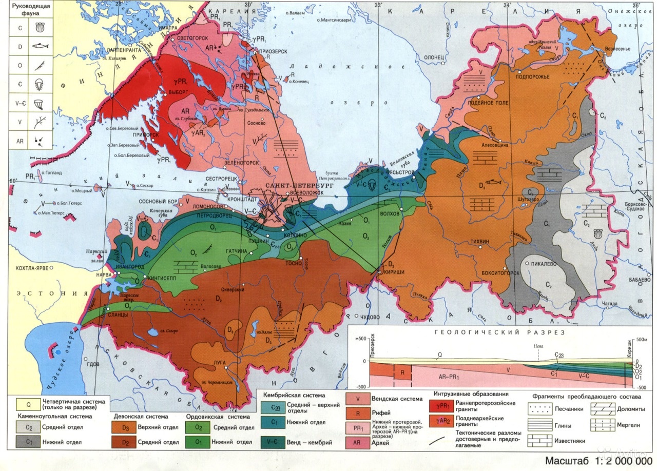 Геологическая карта четвертичных отложений Ленинградской области